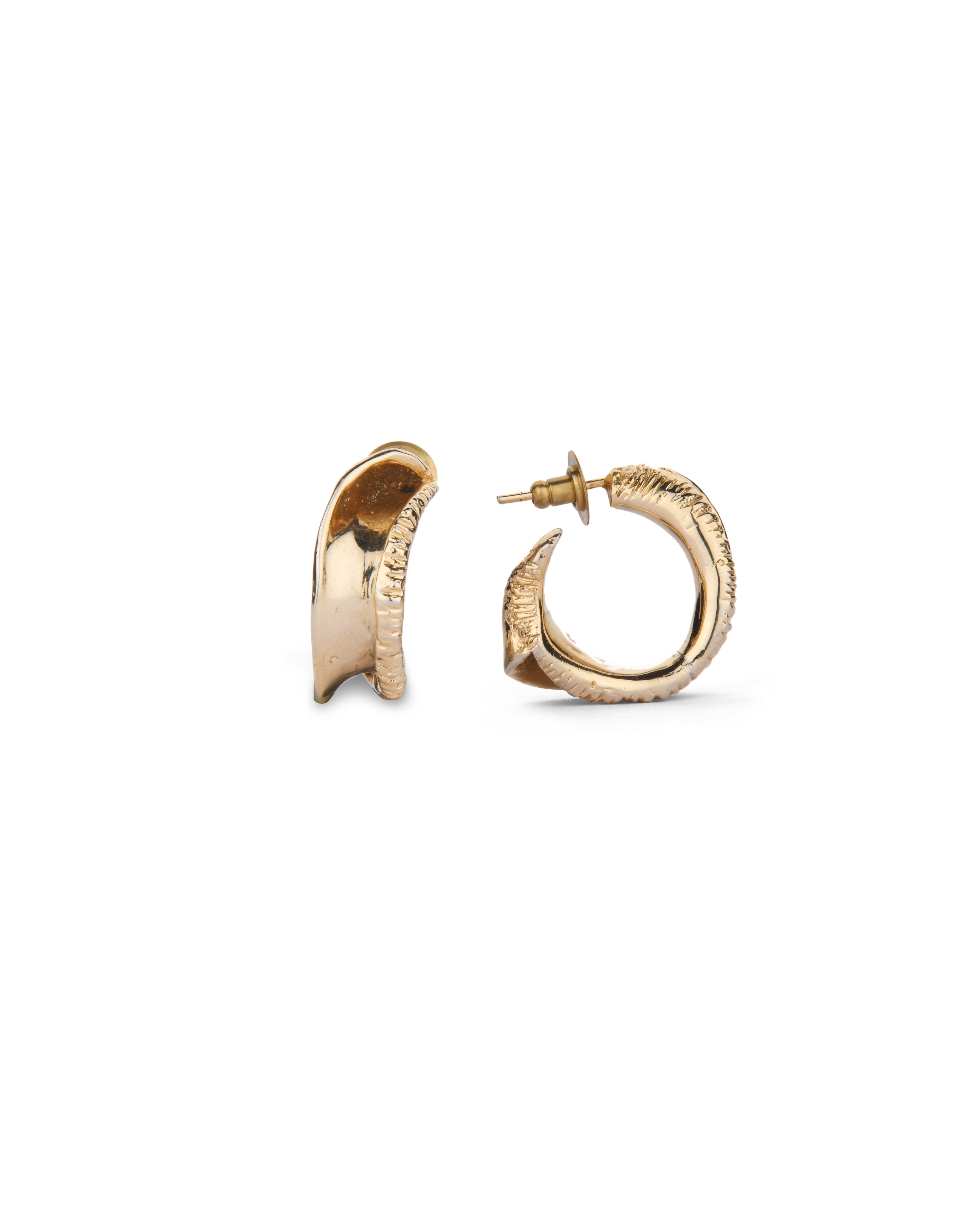 Coral Curve Hoops