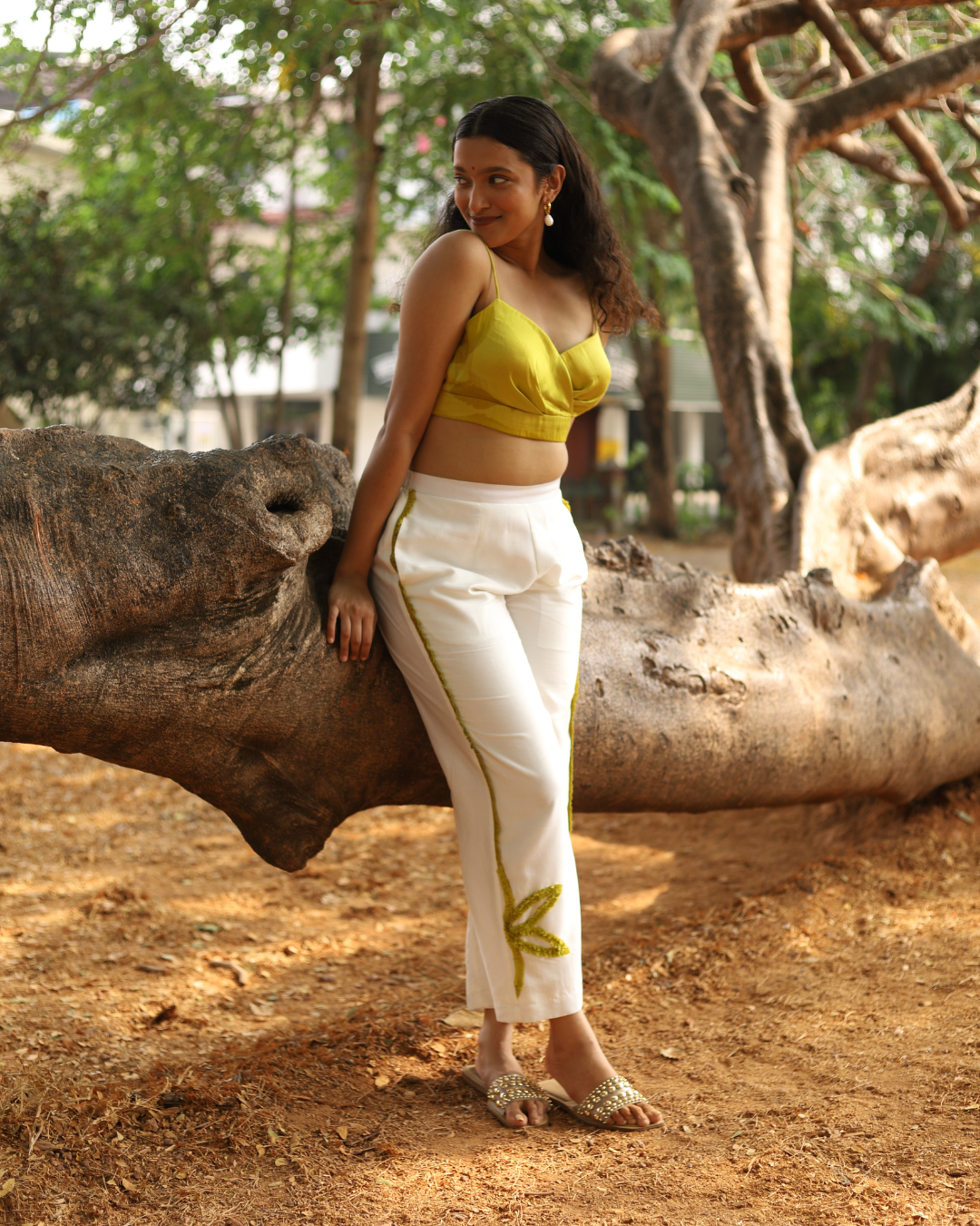 Nimbu Pani Trousers