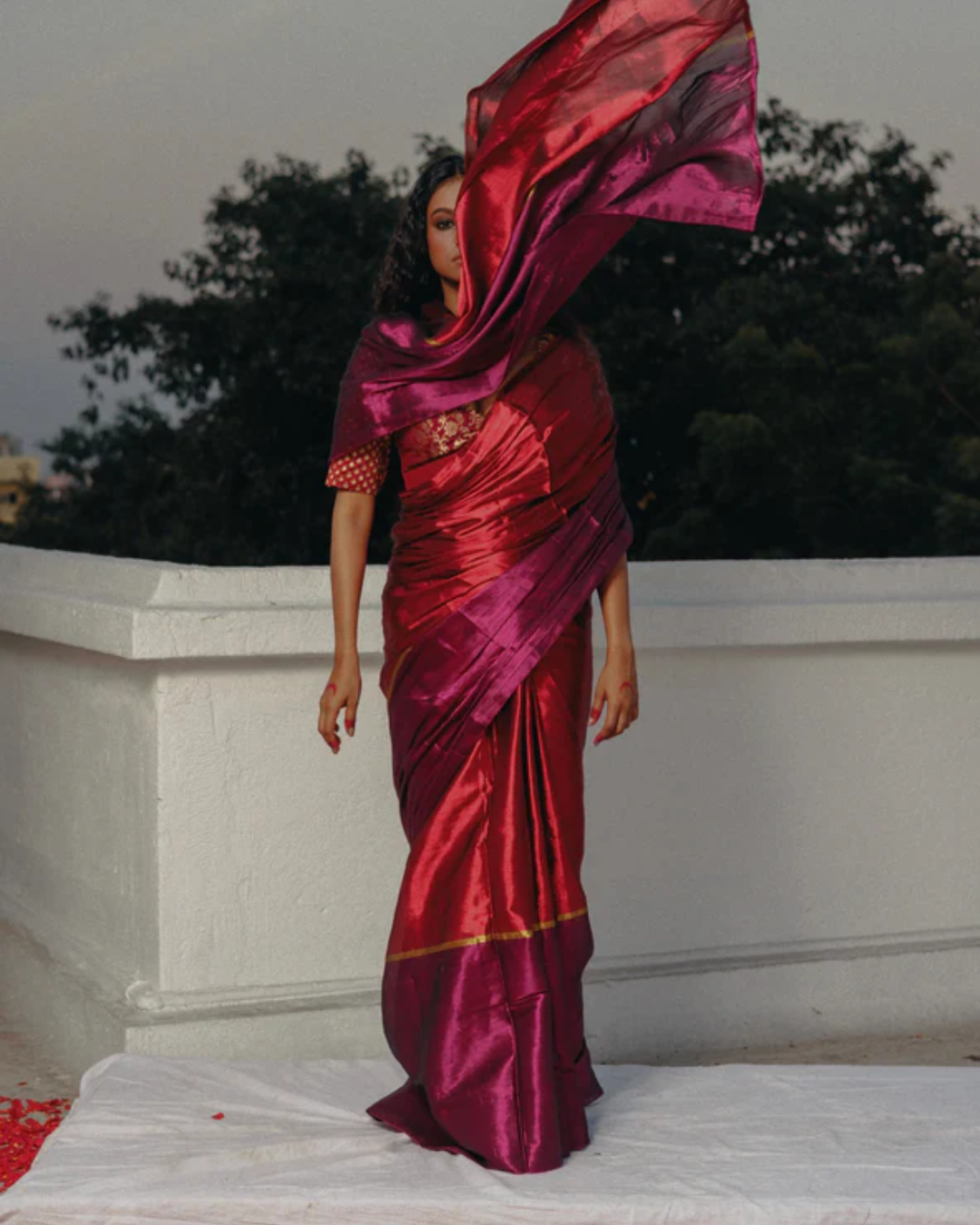 Navya Saree