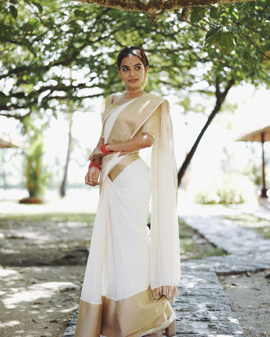 White-Gold Georgette Saree